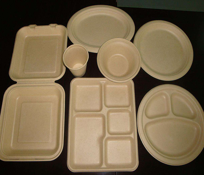 環(huán)保紙漿模塑歷來發(fā)展與應用有哪些？